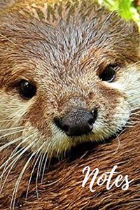 Otter Notebook