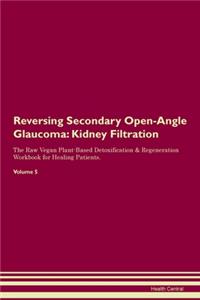 Reversing Secondary Open-Angle Glaucoma: Kidney Filtration The Raw Vegan Plant-Based Detoxification & Regeneration Workbook for Healing Patients. Volume 5