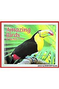 Steck-Vaughn Pair-It Books Transition 2-3: Leveled Reader Bookroom Package Amazing Birds of the Rain Forest