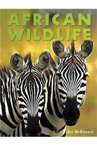 African Wildlife
