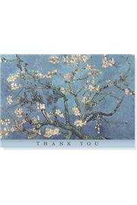 Ty Note Almond Blossom