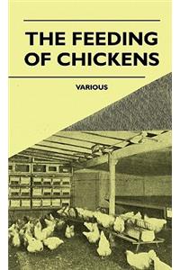 The Feeding Of Chickens