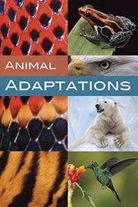 Animal Adaptations