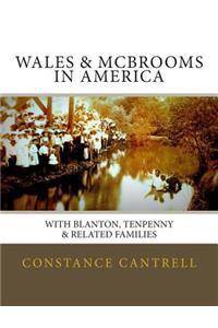 Wales & McBrooms in America