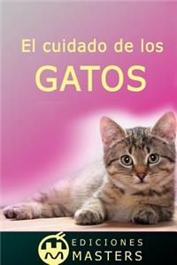 cuidado de los gatos