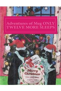 Adventures of Meg ONLY TWELVE MORE SLEEPS