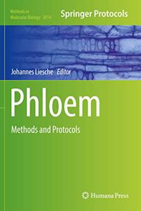 Phloem