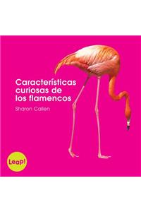 Características Curiosas de Los Flamencos