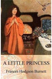 A Little Princess (Illustrated)