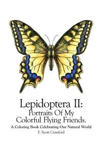 Lepidoptera II