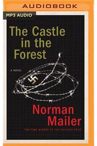 Castle in the Forest