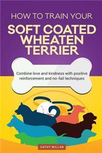 How to Train Your Soft Coated Wheaten Terrier (Dog Training Collection)