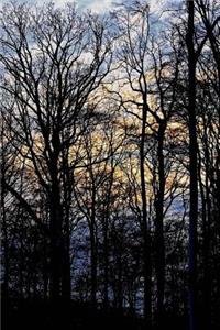 Sunset in the Georgia Woods Journal