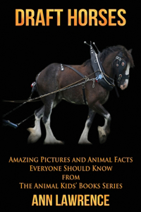 Draft Horses