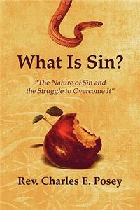 What Is Sin?