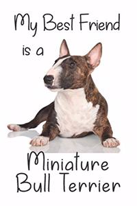 My best Friend is a Miniature Bull Terrier