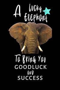 A Lucky Elephant To Bring You Goodluck And Success