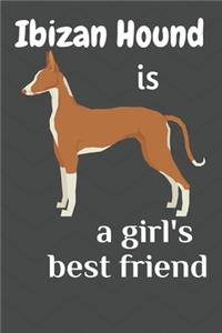 Ibizan Hound is a girl's best friend