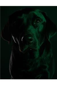 Black Dog Black Pages Notebook