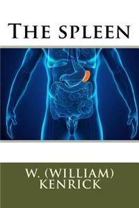 The spleen