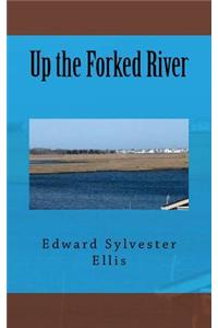 Up the Forked River