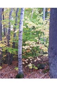 School Composition Book Fall Foliage Autumn Trees 130 Pages