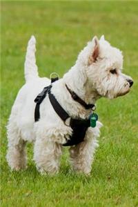 West Highland White Terrier Lined Journal: Canine Gift Notebook for Dog Lovers