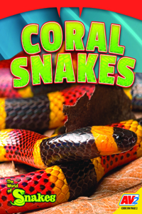 Coral Snakes