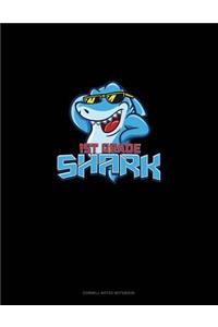 1st Grade Shark