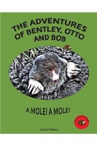 The Adventures of Bentley, Otto and Bob