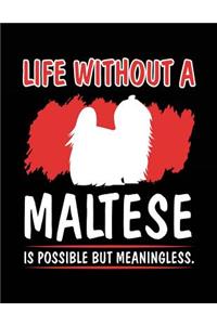 Life Without A Maltese Is Possible But Meaningless.