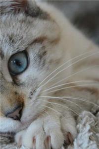 Blue Eyes Notebook