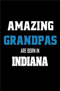 Amazing Grandpas Are Born In Indiana