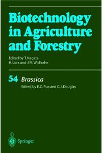 Brassica