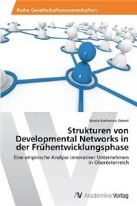 Strukturen von Developmental Networks in der Frühentwicklungsphase