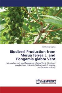 Biodiesel Production from Mesua ferrea L. and Pongamia glabra Vent