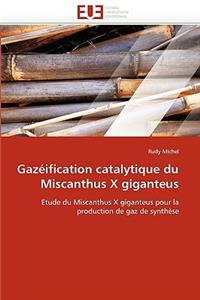 Gazéification Catalytique Du Miscanthus X Giganteus