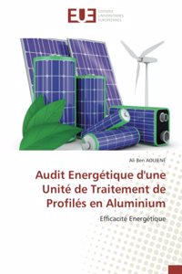 Audit Energétique d'une Unité de Traitement de Profilés en Aluminium