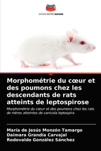 Morphométrie du coeur et des poumons chez les descendants de rats atteints de leptospirose