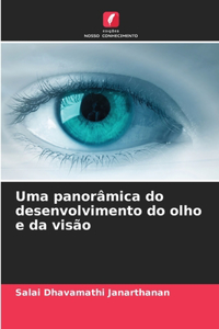 Uma panorâmica do desenvolvimento do olho e da visão