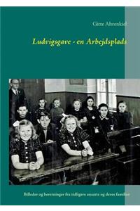 Ludvigsgave - en Arbejdsplads