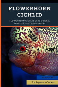 Flowerhorn Cichlid