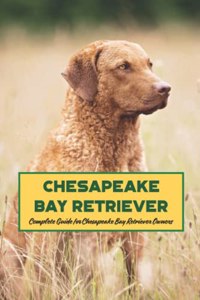 Chesapeake Bay Retriever
