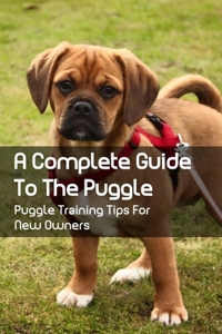 Complete Guide To The Puggle