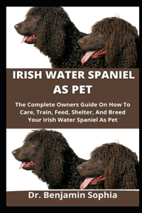 Irish Water Spaniel As Pet