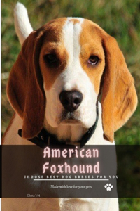 American Foxhound