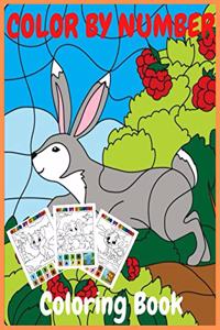 Color by number coloring book