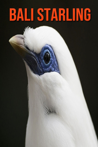 Bali Starling