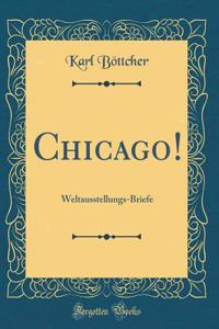 Chicago!: Weltausstellungs-Briefe (Classic Reprint)