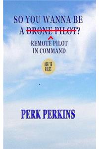 So You Wanna Be A Drone Pilot?